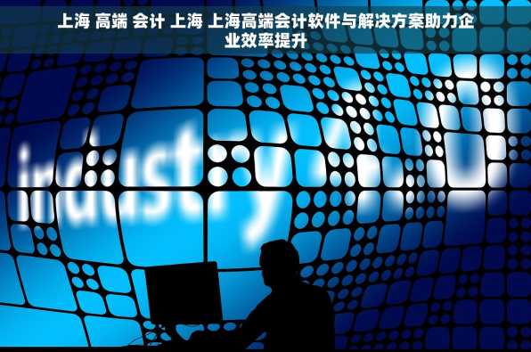 上海 高端 会计 上海 上海高端会计软件与解决方案助力企业效率提升