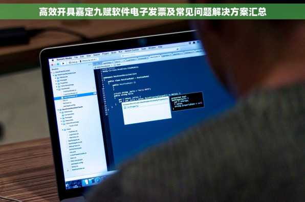 高效开具嘉定九赋软件电子发票及常见问题解决方案汇总