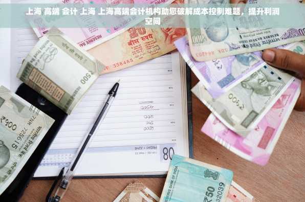 上海 高端 会计 上海 上海高端会计机构助您破解成本控制难题，提升利润空间