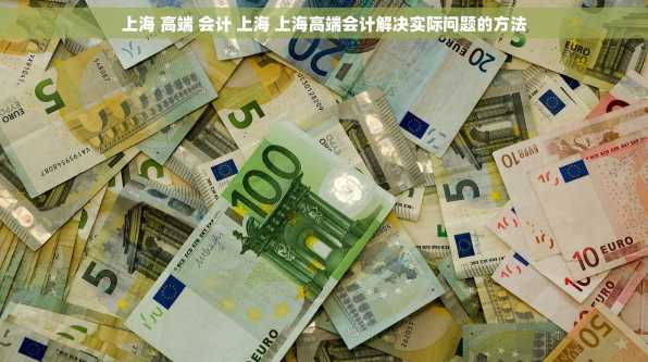 上海 高端 会计 上海 上海高端会计解决实际问题的方法