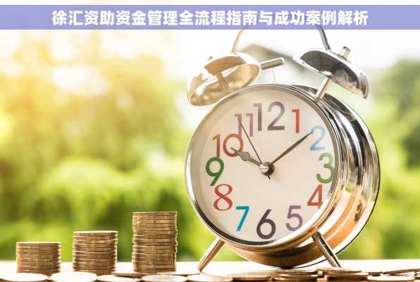 徐汇资助资金管理全流程指南与成功案例解析