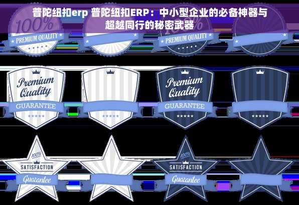 普陀纽扣erp 普陀纽扣ERP：中小型企业的必备神器与超越同行的秘密武器