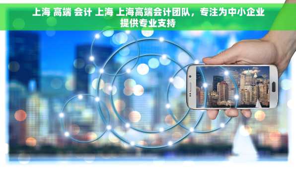 上海 高端 会计 上海 上海高端会计团队，专注为中小企业提供专业支持