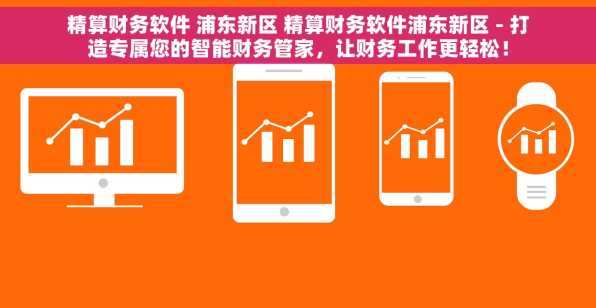 精算财务软件 浦东新区 精算财务软件浦东新区 - 打造专属您的智能财务管家，让财务工作更轻松！