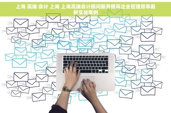 上海 高端 会计 上海 上海高端会计顾问服务提高企业管理效率最新实战案例