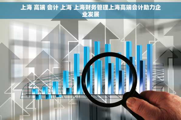 上海 高端 会计 上海 上海财务管理上海高端会计助力企业发展