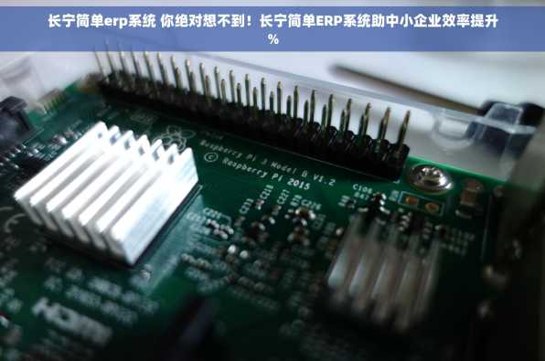 长宁简单erp系统 你绝对想不到！长宁简单ERP系统助中小企业效率提升%