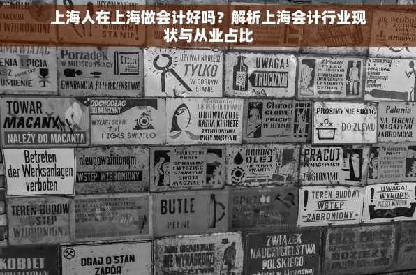 上海人在上海做会计好吗？解析上海会计行业现状与从业占比