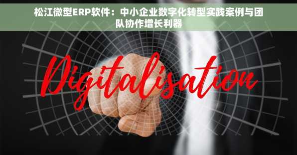 松江微型ERP软件：中小企业数字化转型实践案例与团队协作增长利器