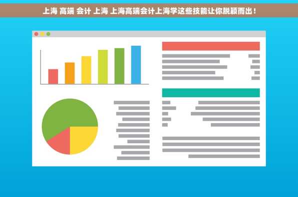 上海 高端 会计 上海 上海高端会计上海学这些技能让你脱颖而出！