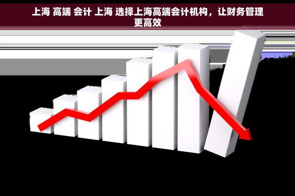 上海 高端 会计 上海 选择上海高端会计机构，让财务管理更高效