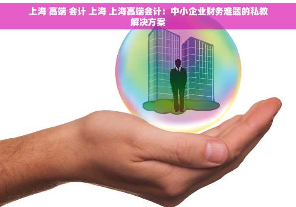 上海 高端 会计 上海 上海高端会计：中小企业财务难题的私教解决方案
