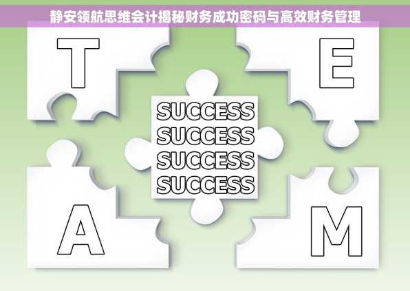 静安领航思维会计揭秘财务成功密码与高效财务管理