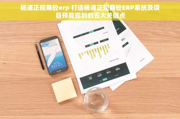 杨浦正规商砼erp 打造杨浦正规商砼ERP系统及项目预算规划的五大关键点