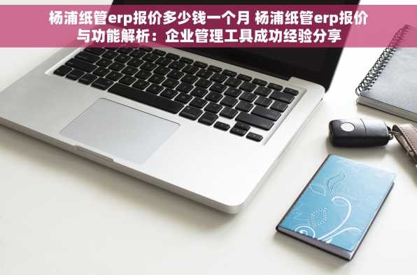 杨浦纸管erp报价多少钱一个月 杨浦纸管erp报价与功能解析：企业管理工具成功经验分享
