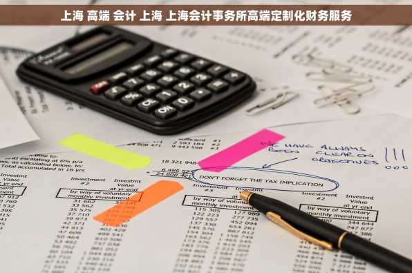 上海 高端 会计 上海 上海会计事务所高端定制化财务服务