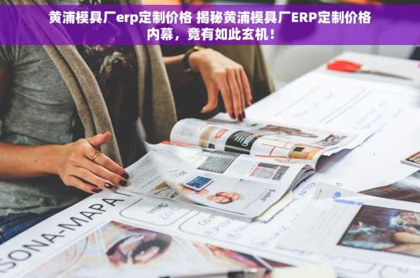 黄浦模具厂erp定制价格 揭秘黄浦模具厂ERP定制价格内幕，竟有如此玄机！
