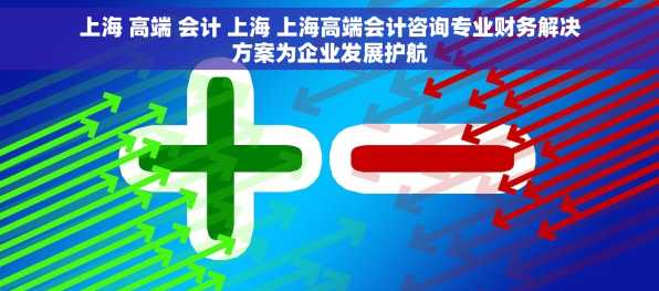 上海 高端 会计 上海 上海高端会计咨询专业财务解决方案为企业发展护航