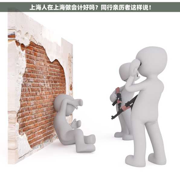 上海人在上海做会计好吗？同行亲历者这样说！