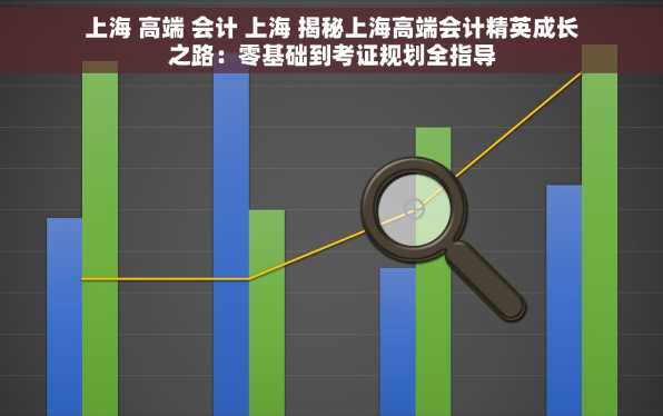 上海 高端 会计 上海 揭秘上海高端会计精英成长之路：零基础到考证规划全指导