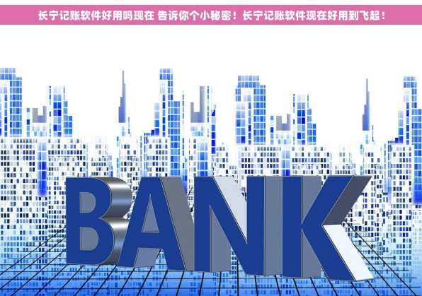长宁记账软件好用吗现在 告诉你个小秘密！长宁记账软件现在好用到飞起！