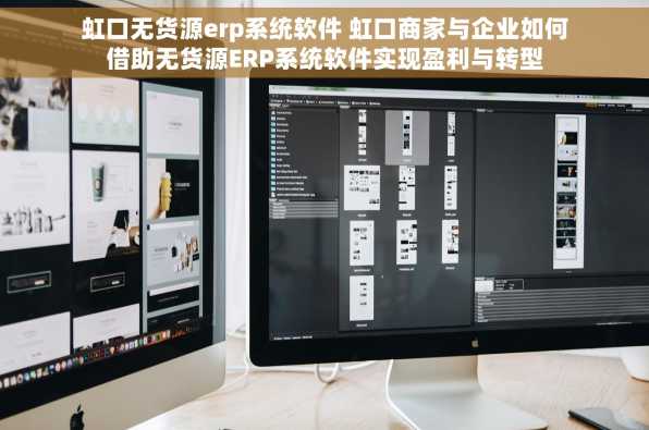 虹口无货源erp系统软件 虹口商家与企业如何借助无货源ERP系统软件实现盈利与转型