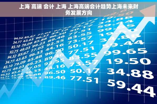 上海 高端 会计 上海 上海高端会计趋势上海未来财务发展方向