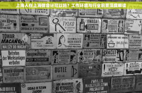 上海人在上海做会计可以吗？工作环境与行业前景深度解读