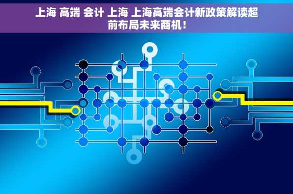 上海 高端 会计 上海 上海高端会计新政策解读超前布局未来商机！