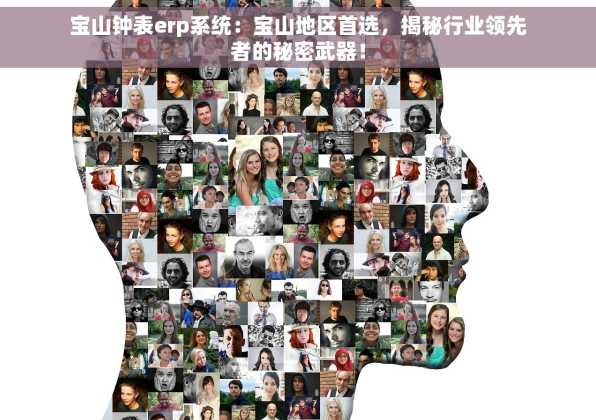 宝山钟表erp系统：宝山地区首选，揭秘行业领先者的秘密武器！