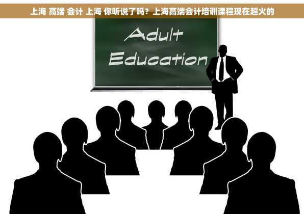 上海 高端 会计 上海 你听说了吗？上海高端会计培训课程现在超火的
