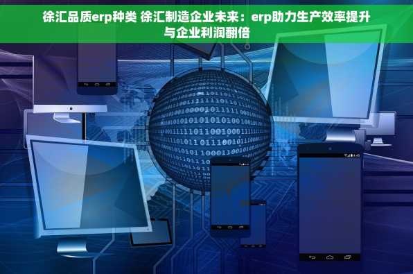 徐汇品质erp种类 徐汇制造企业未来：erp助力生产效率提升与企业利润翻倍