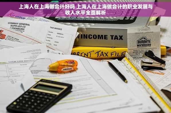 上海人在上海做会计好吗 上海人在上海做会计的职业发展与收入水平全面解析