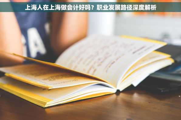 上海人在上海做会计好吗？职业发展路径深度解析