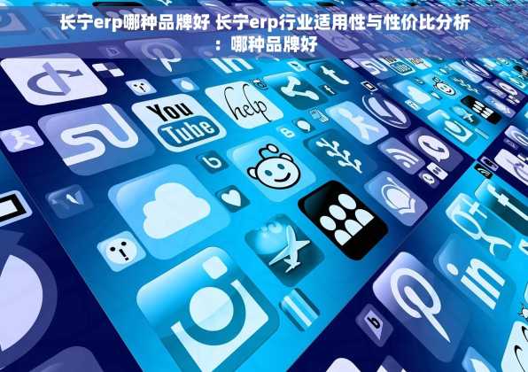长宁erp哪种品牌好 长宁erp行业适用性与性价比分析：哪种品牌好