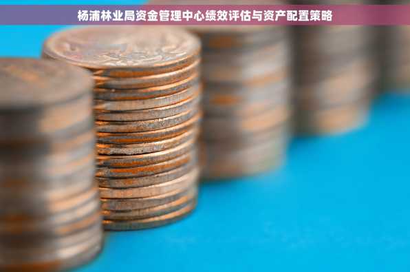 杨浦林业局资金管理中心绩效评估与资产配置策略