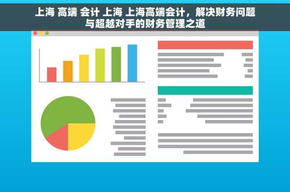 上海 高端 会计 上海 上海高端会计，解决财务问题与超越对手的财务管理之道