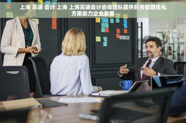 上海 高端 会计 上海 上海高端会计咨询团队提供财务管理优化方案助力企业发展