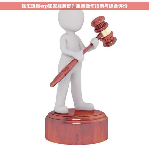徐汇玩具erp哪家服务好？服务操作指南与综合评价
