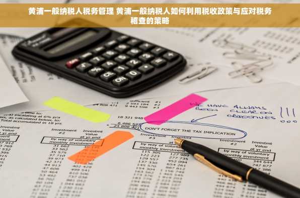 黄浦一般纳税人税务管理 黄浦一般纳税人如何利用税收政策与应对税务稽查的策略