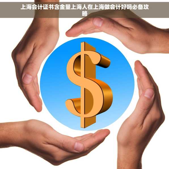上海会计证书含金量上海人在上海做会计好吗必备攻略