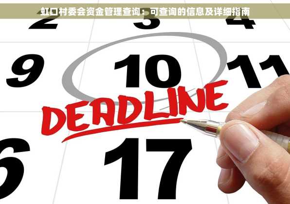 虹口村委会资金管理查询：可查询的信息及详细指南
