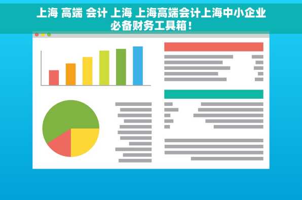 上海 高端 会计 上海 上海高端会计上海中小企业必备财务工具箱！