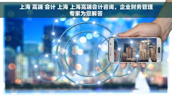 上海 高端 会计 上海 上海高端会计咨询，企业财务管理专家为您解答