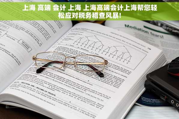 上海 高端 会计 上海 上海高端会计上海帮您轻松应对税务稽查风暴!