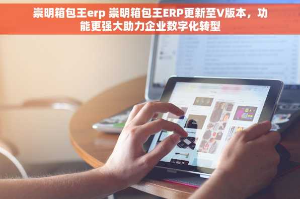 崇明箱包王erp 崇明箱包王ERP更新至V版本，功能更强大助力企业数字化转型