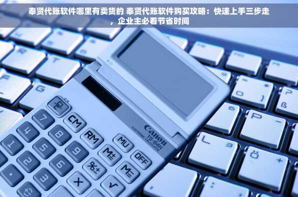 奉贤代账软件哪里有卖货的 奉贤代账软件购买攻略：快速上手三步走，企业主必看节省时间