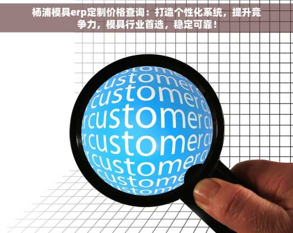 杨浦模具erp定制价格查询：打造个性化系统，提升竞争力，模具行业首选，稳定可靠！