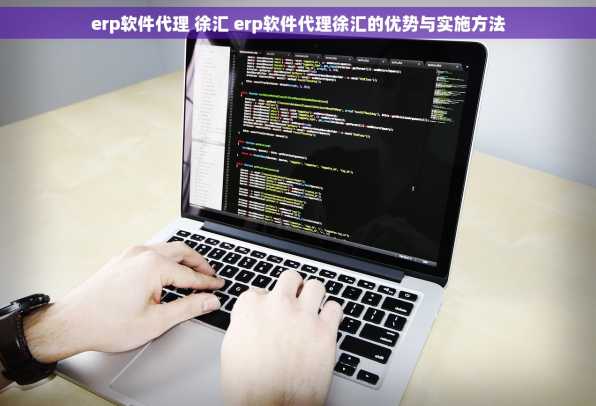 erp软件代理 徐汇 erp软件代理徐汇的优势与实施方法