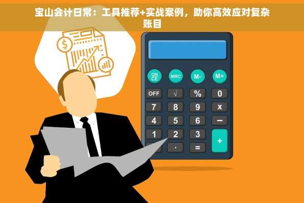 宝山会计日常：工具推荐+实战案例，助你高效应对复杂账目